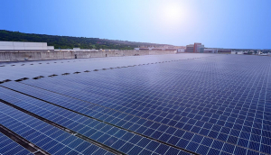 中美硅晶与jinnianhui官网 - 金年会光电携手战略合作